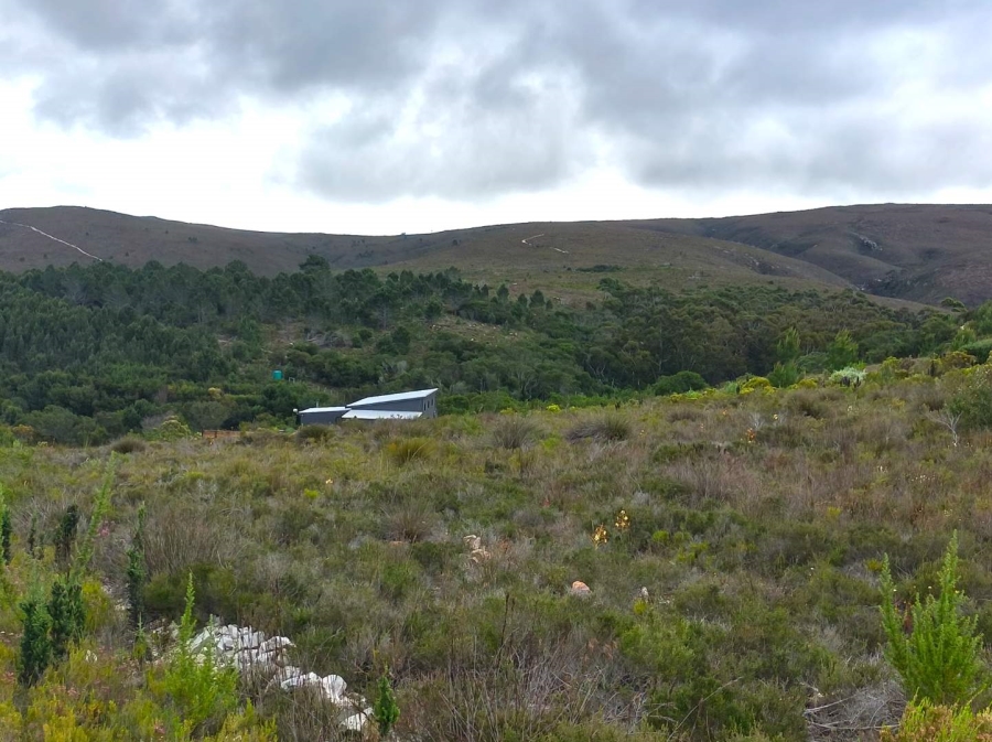 0 Bedroom Property for Sale in Baardskeerdersbos Western Cape